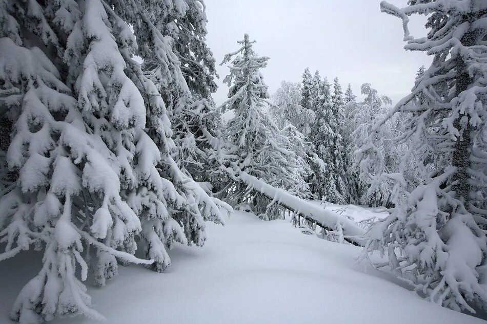 Горы зима. Зимний пейзаж сверху. Зимняя природа. Йосемитская долина сьерра-невада. Тинь валь кларет.