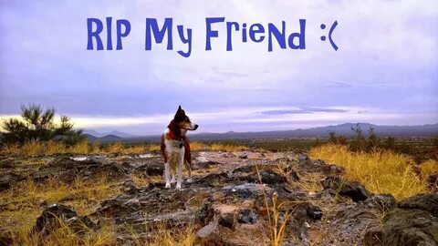 My friend ever