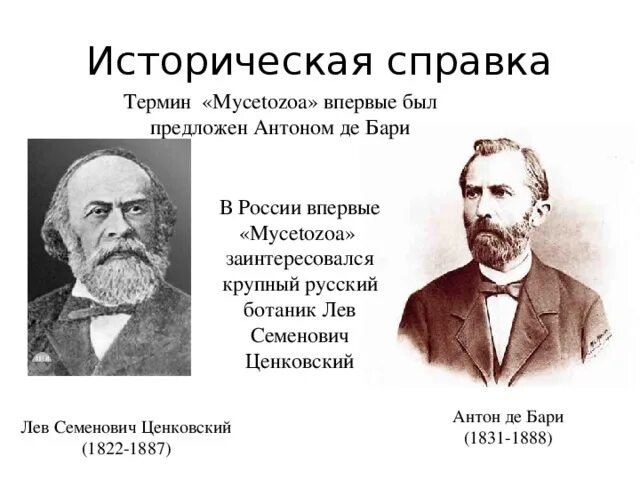 Де барри. Ценковский Лев Семенович. Лев Семенович Ценковский вклад в микробиологию. Ценковский микробиология открытия. Льва Семеновича Ценковского (1822-1887).