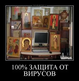 100 защита