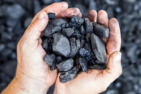 Трусики жоқ қыздар порно қарайды