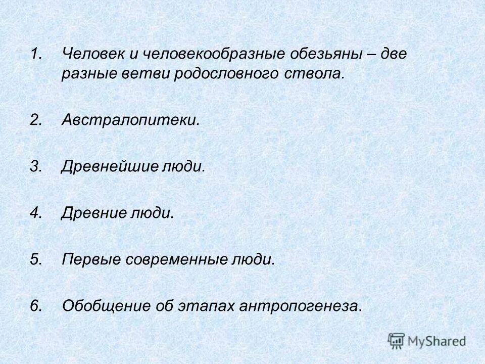 человекообразные обезьяны таблица