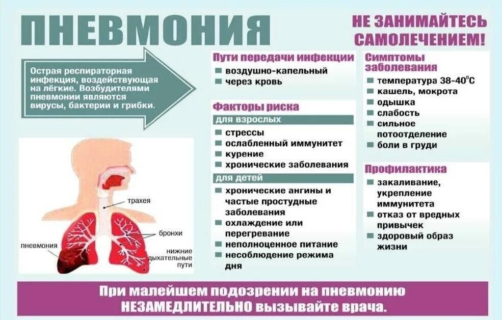 Пневмония это простыми словами симптомы. Памятка пневмония. памятка по пневмонии. профилактика внебольничной пневмонии. рекомендации по профилактике пневмонии.
