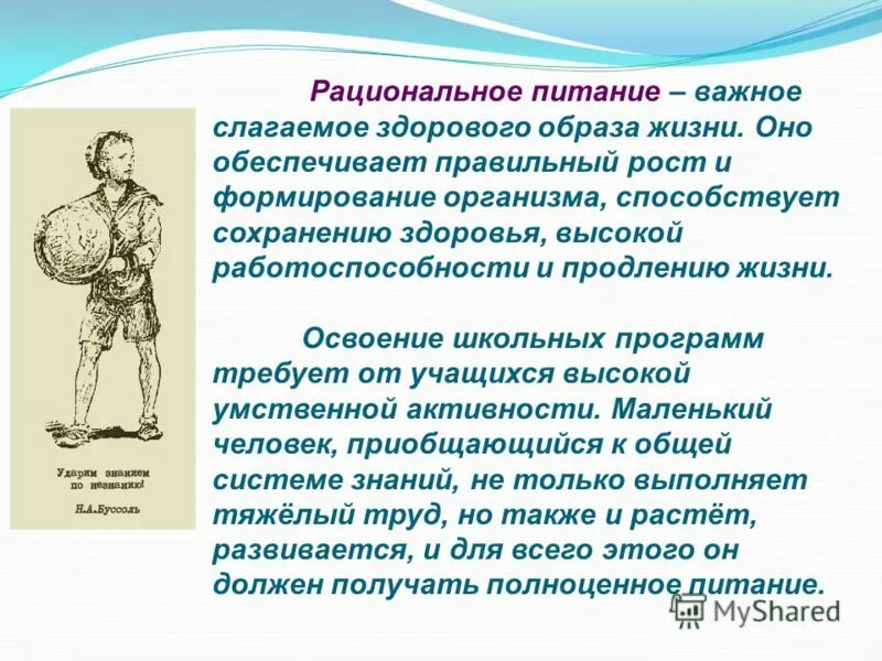 Что относят к слагаемым здорового образа жизни. Рациональное питание это важное слагаемое здорового образа жизни. Здоровый образ жизни слагаемые здоровья. Что такое здоровый образ жизни слагаемые здорового образа жизни. Слагаемые здоровья и составляющие здорового образа жизни.