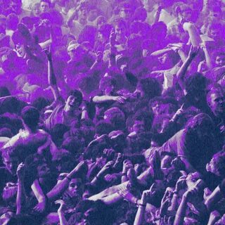 Crowd mos