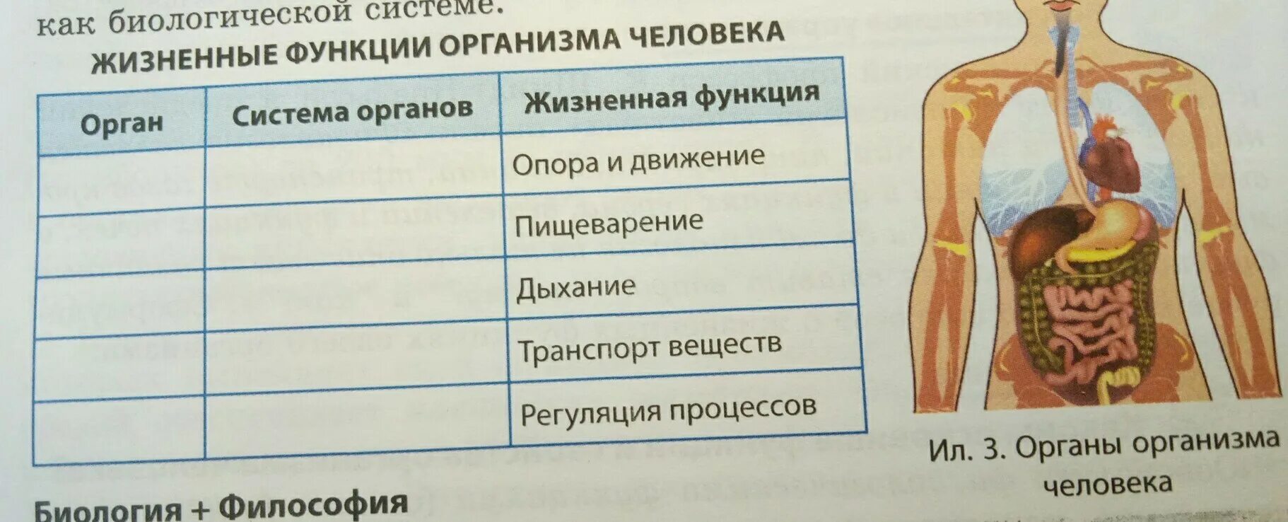 Биология 8 класс 21. Картинки на тему витальные функции человека. Життєві функції організму людини таблиця 8 клас Соболь.