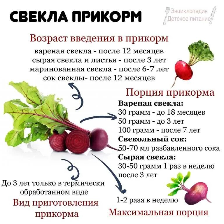 Можно есть свеклу на ночь. Когда вводить свеклу в прикорм ребенку. Когда можно давать свеклу. Введение свеклы в прикорм. Когда можно давать свеклу грудничку.