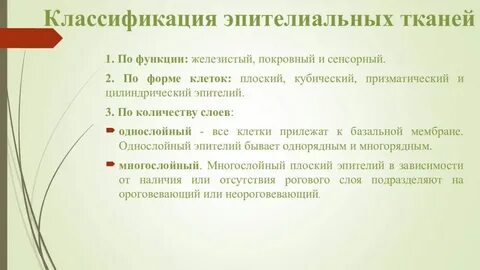 Общие признаки тканей