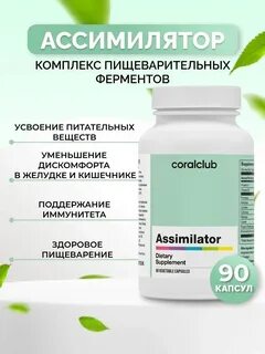 Ассимилятор