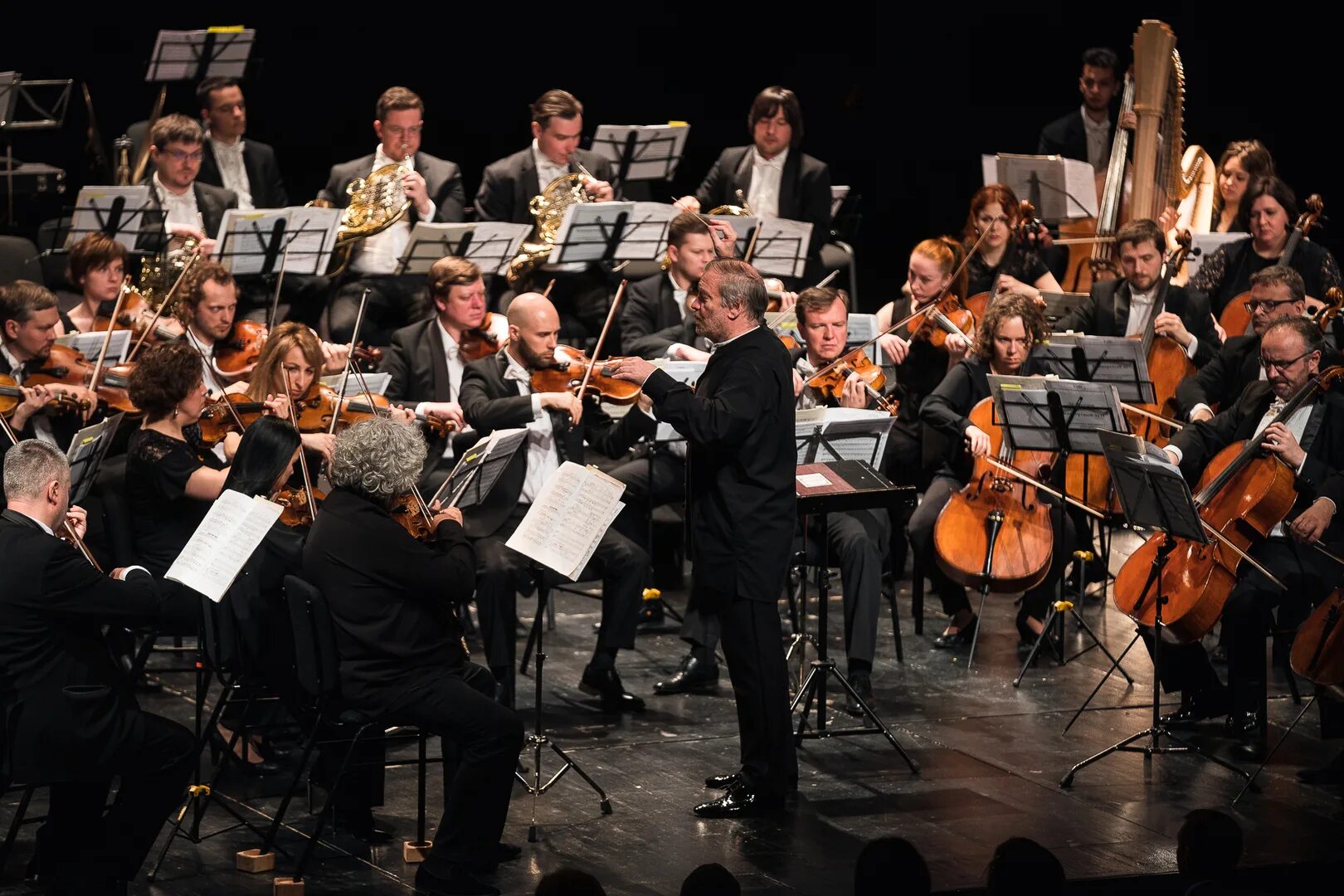 Mariinsky Theatre Symphony Orchestra. Симфонический оркестр Гергиева. Оркестр Мариинского театра. Группа симфонический оркестр Мариинского театра.