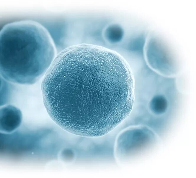 мидихлорианы