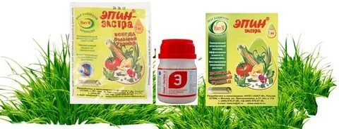 Эпина для фикуса
