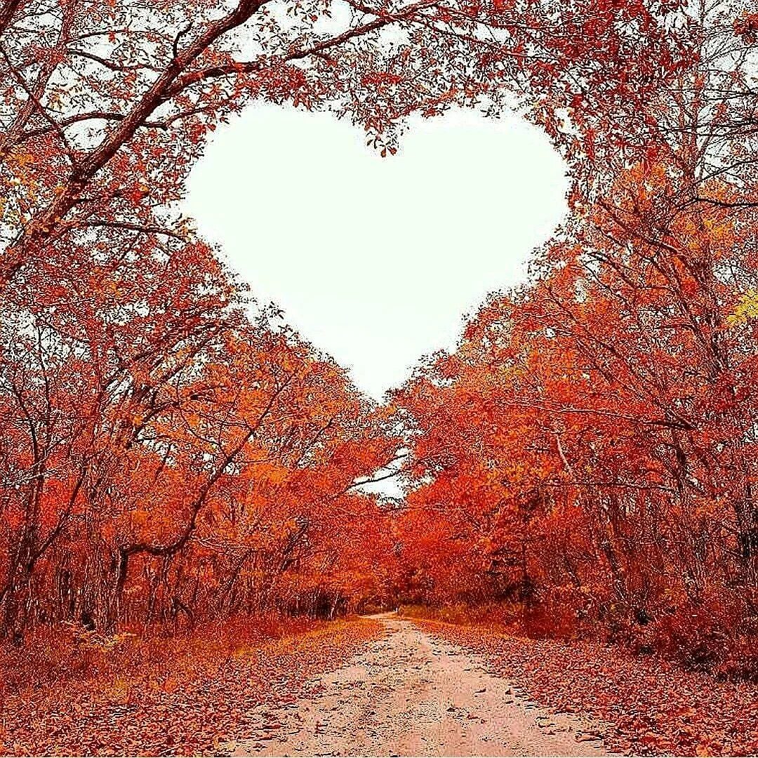Понравилась осень. Осень. Осень прекрасная пора. Осеннее сердце. Осенние картинки.