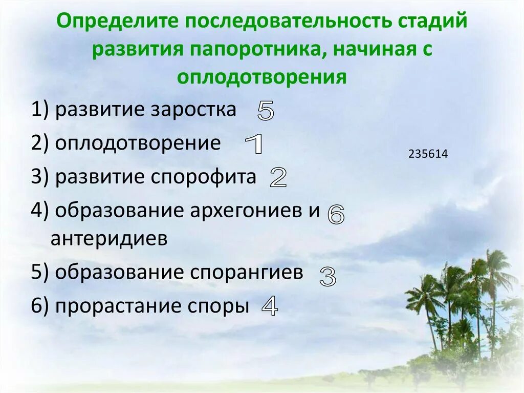 Определите верную последовательность этапов. Развитие папоротника начиная с оплодотворения. Стадий развития папоротника. Последовательность стадий развития папоротника. Последовательность стадии развития начиная с оплодотворения.