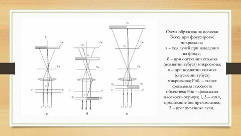Ход лучей в микроскопе
