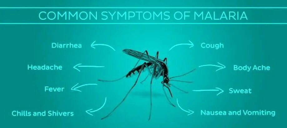 Maliaria syptoms. Малярия английском языке. Malaria для детей. Малярия ответы на тесты нмо эпидемиология