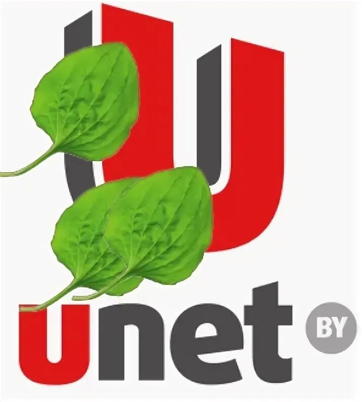 UNET. UNET архитектура. Юнет бизнес.