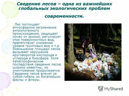 Какие экологические проблемы биосферы могут
