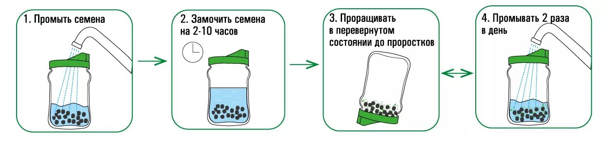 Надо ли промывать семена