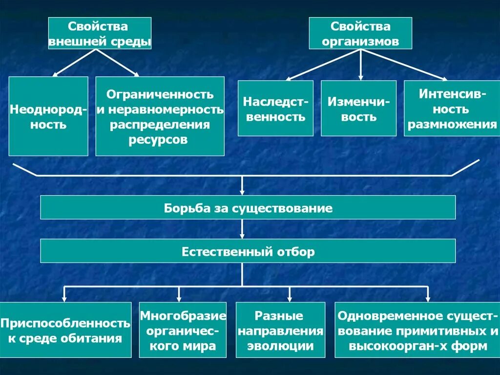 Виды интенсивов