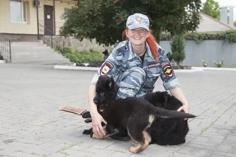Кинолог ростов