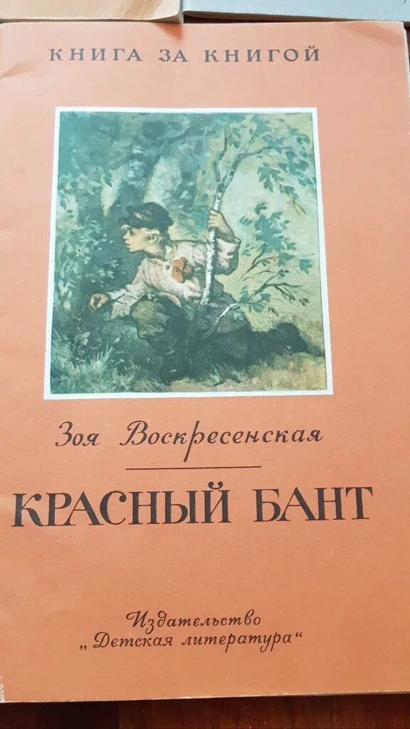 Советская книга красный. Советские книги. Обложки советских книг. Обложки несуществующих книг. Прикольные названия книг.