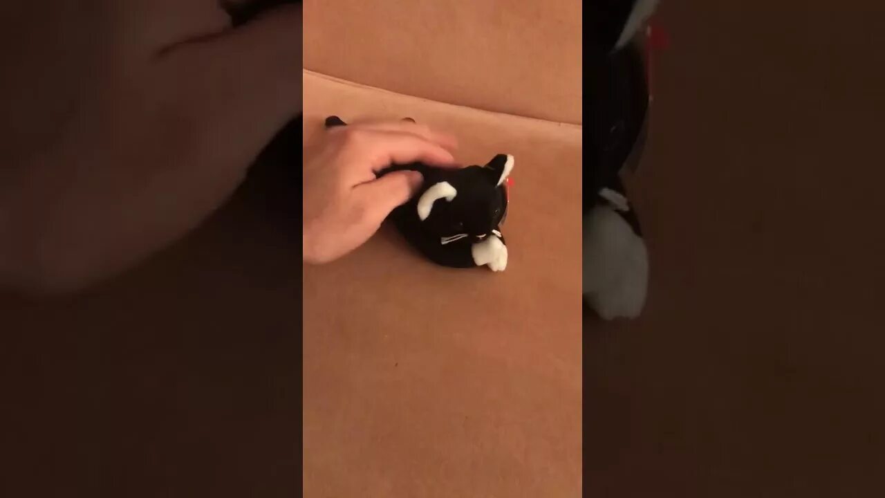 1 boy 2 kittens original. 2 cats 1 boy. Dont fk with cats netflix. видео кошка обнимает котенка. интернет убийцы.