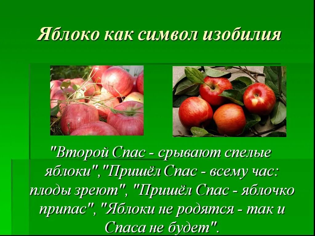 Презентация яблоня. Презентация на тему яблоко. Яблоко для презентации. Интересные факты о яблоках. Доклад о яблоке.