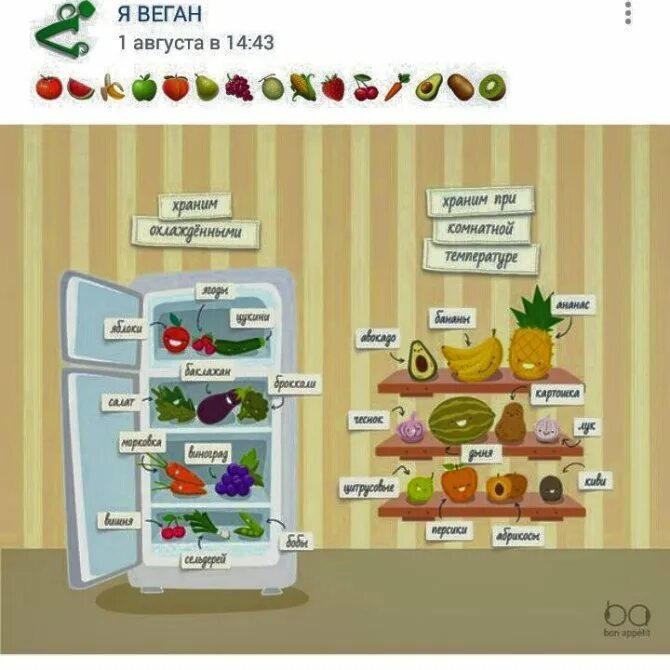 Сколько и где можно хранить