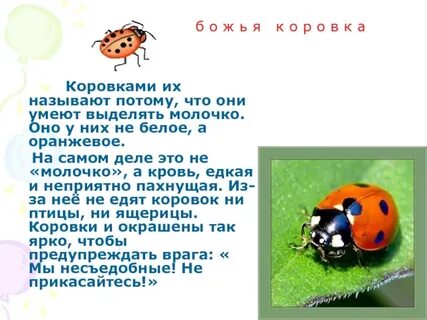 Ее называют потому что