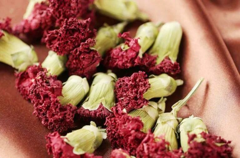 Цветы гвоздики приправа. Бутон гвоздики пряность. Гвоздика съедобная. Сушеные цветы гвоздики. Гвоздика в кулинарии.