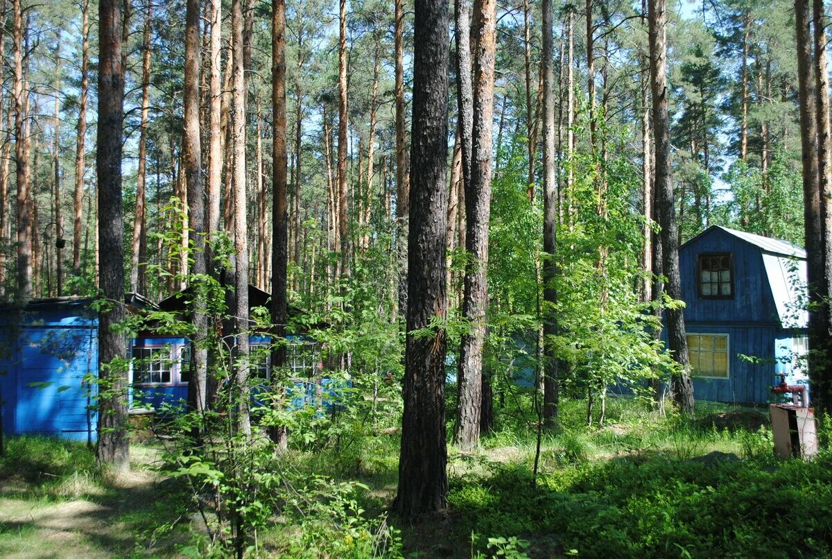 Озеро акакуль сайт. Теренкуль (озеро, Чебаркульский район). Акакуль Челябинская. Озеро Акакуль. Озеро Теренкуль Челябинская.