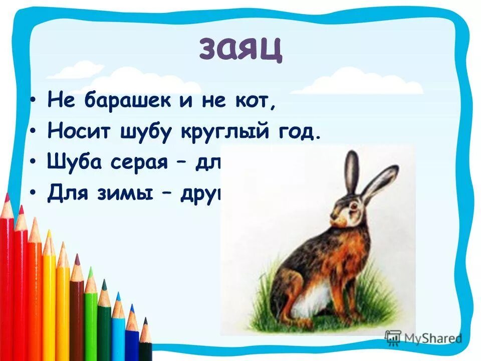 составление слов из слова. составить слова из слова барашек. словарное слово овца презентация. овца у вас прекрасный цвет лица. составить слова из слова барашек.
