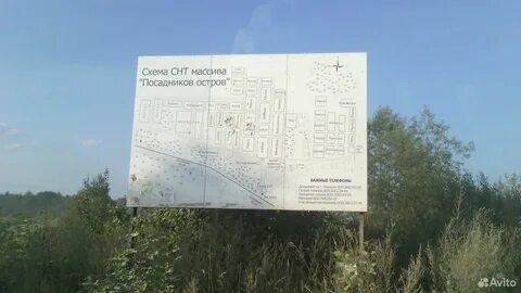 Посадников остров киришский погода на неделю