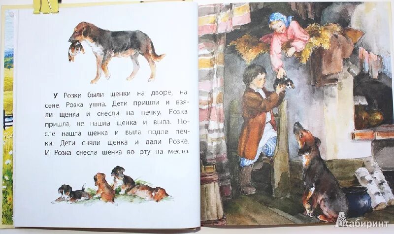 Самый маленький рассказ толстого. Маленькие рассказы. маленькие рассказы льва толстого. маленький художественный рассказ. художественные рассказы для детей.