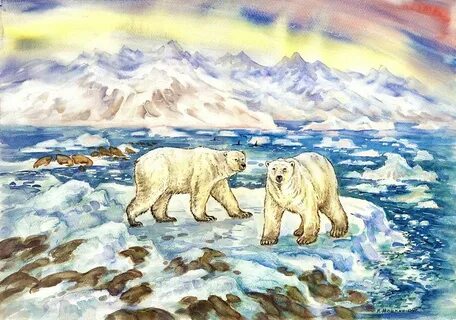 Рисунок арктической пустыни