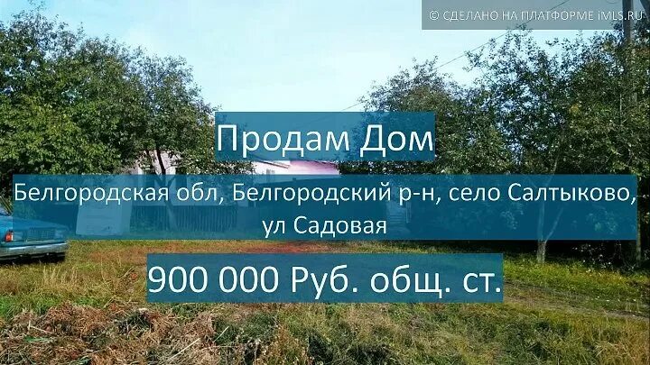 Погода в салтыково земетчинского. Село Салтыково Белгородского района. Школа село Салтыково. Губкин кладбище Салтыково. С Салтыково Белгородская область Губкинский район.