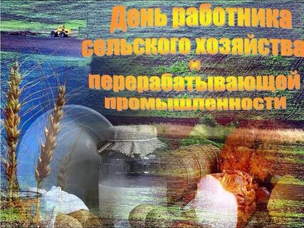 С днем перерабатывающей промышленности