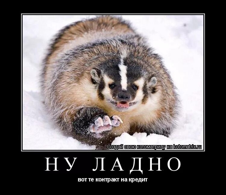 А вот и ладно. А вот и ладно