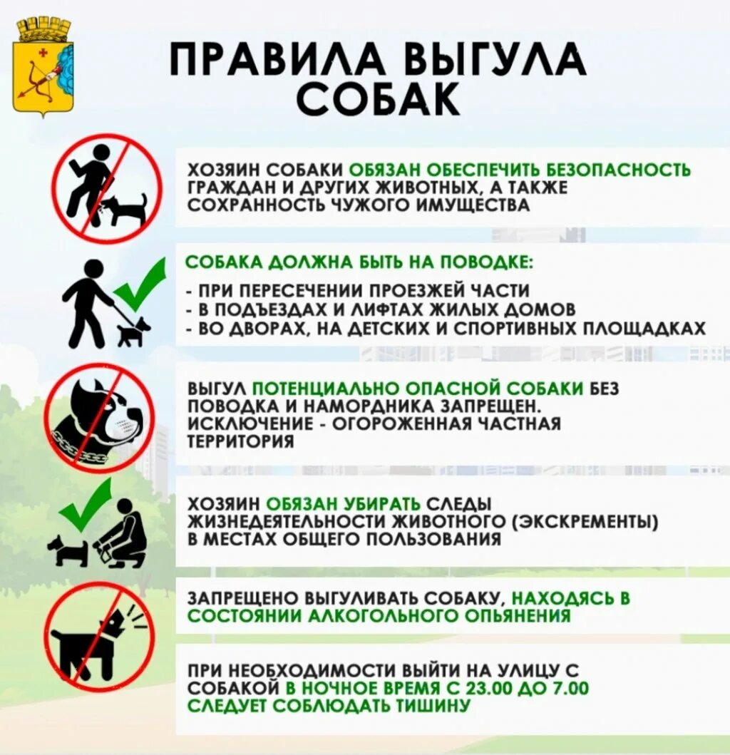 Нарушение правил проживания ответственность. Правила выгула собак. памятка для владельцев собак. памятка по выгулу собак. правила выгула собак закон.