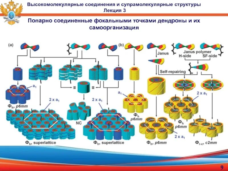 Высокомолекулярным соединением является. Состав высокомолекулярных соединений. Строение высокомолекулярных соединений. Строение и структура высокомолекулярных соединений. Супрамолекулярные структуры.