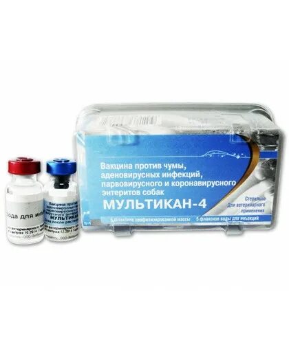 Инструкция вакцины мультикан 4. Мультикан-6 вакцина для собак. Мультикан-8, вакцина для собак. Мультикан 1 вакцина для собак. Вакцинация собаки мультикан 6.