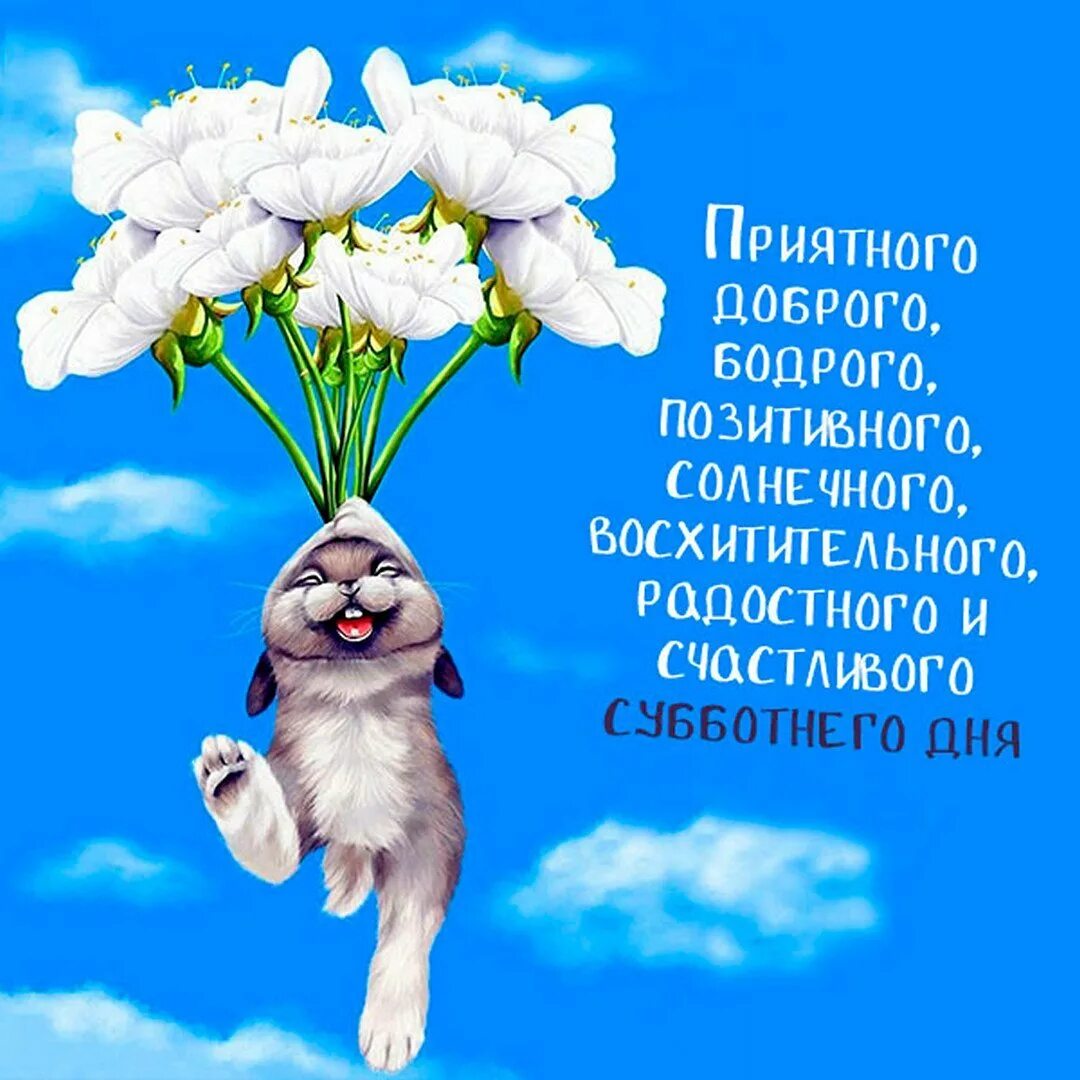 Хорошего дня и отличного настроения прикольные позитивные