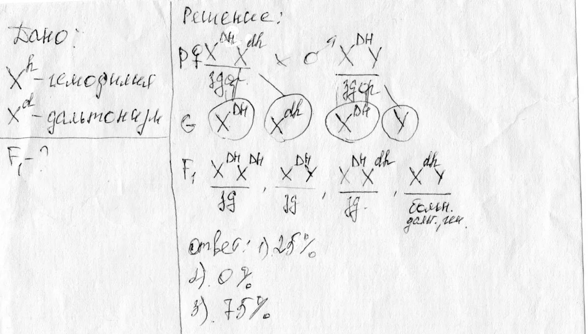 Гены лежащие в х хромосоме. Рецессивный ген дальтонизма располагается в х-хромосоме. В Х-хромосоме локализован ген. Задачи на гемофилию и дальтонизм.