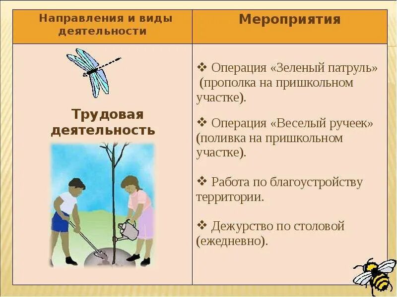 Трудовые мероприятия в школе. Мероприятия трудовой деятельности. Трудовое направление мероприятия. Трудовое направление деятельности в лагере.