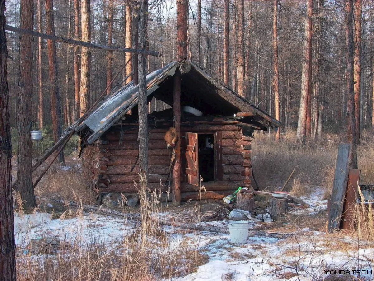 Изба густой. Заимка зимовье Томск. Лесная избушка в тайге. Охотничья изба Хохловка. Охотничья избушка Хохловка.