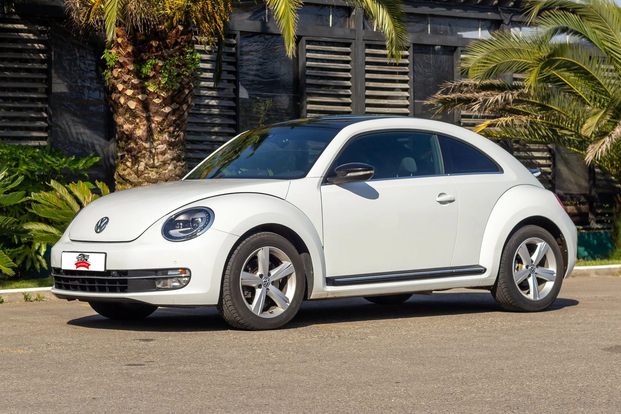 Аренда volkswagen. Фольксваген Битл 2023. Volkswagen Жук 2023. Volkswagen New Beetle 2023. Volkswagen Beetle 2023 новая.