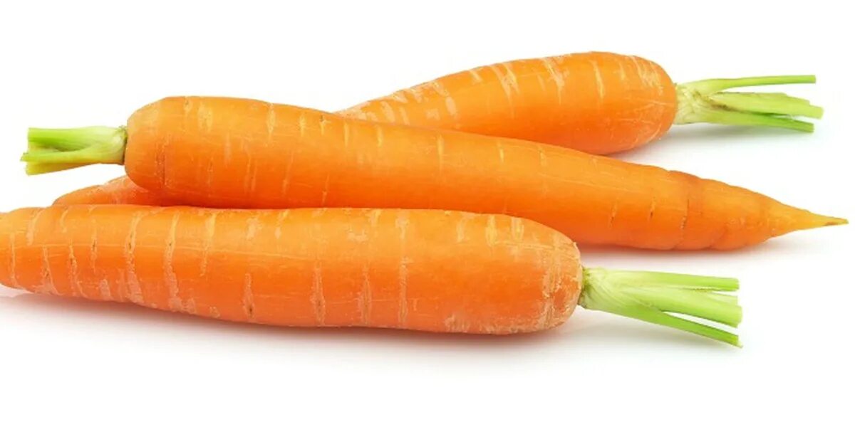морковь кг. 2 килограмма морковки. морковь кг. килограмм моркови. килограмм моркови.