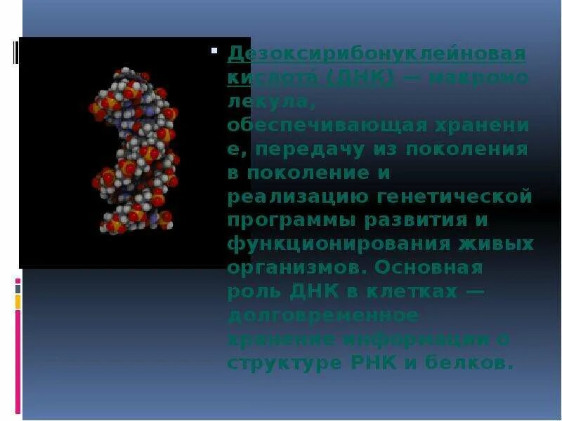 Содержит дезоксирибонуклеиновую кислоту