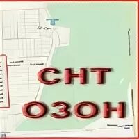 Снт озон